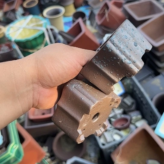 是的呀哈哈是这样哈哈好开心