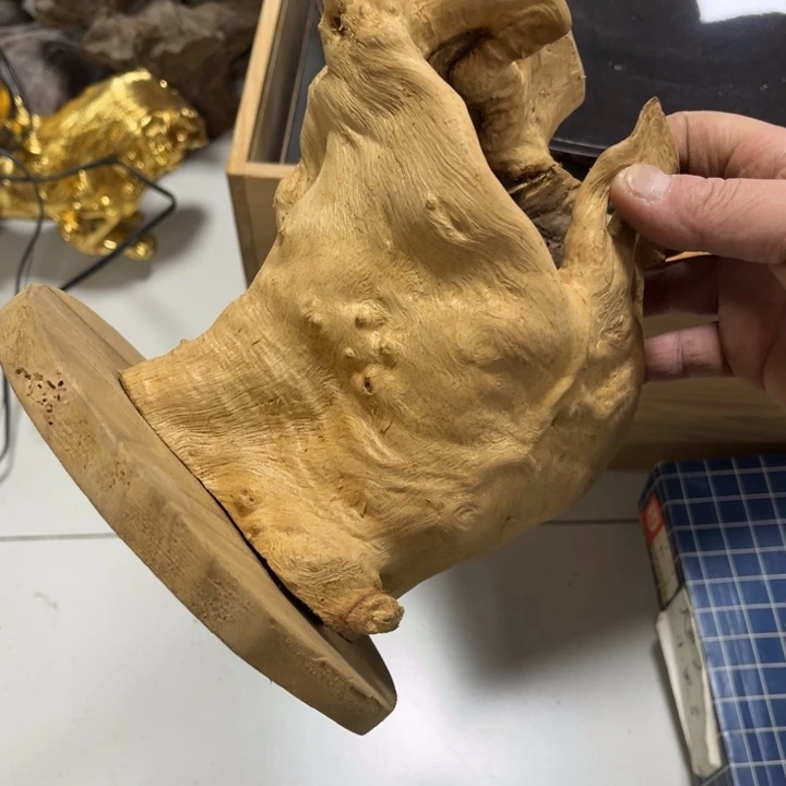 碟金*人哈哈哈哈哈哈哈哈