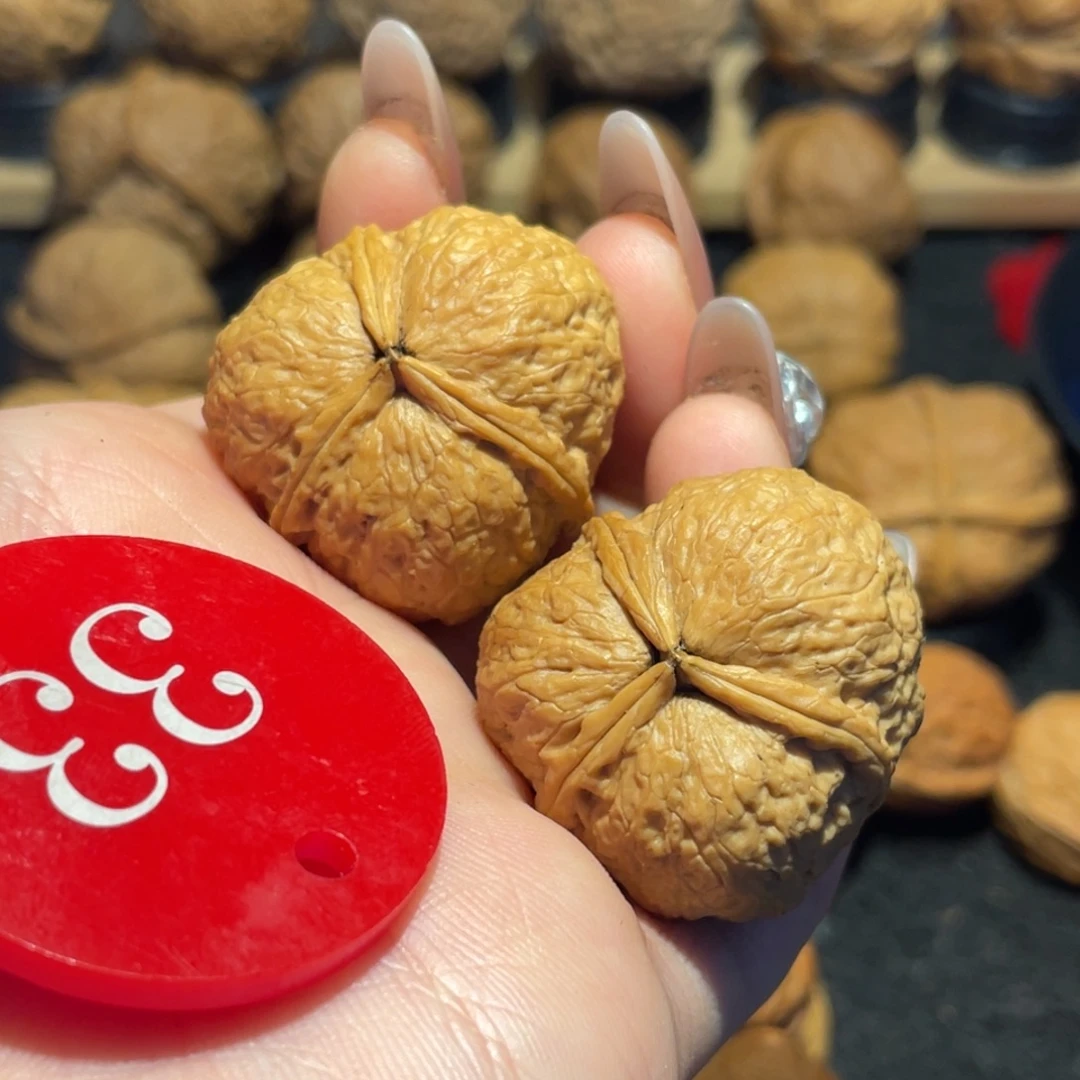 三棱福瓜萌萌包32