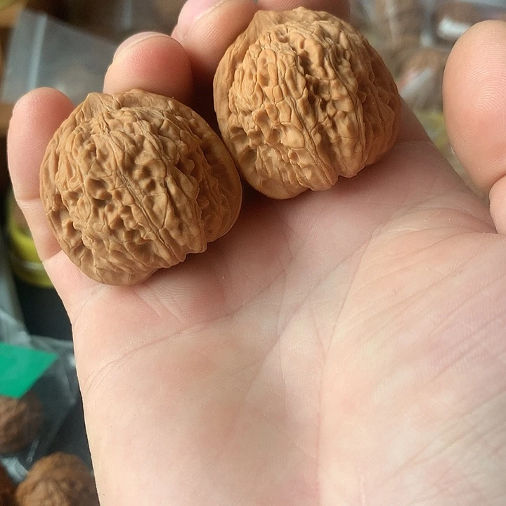 工***级文玩核桃吊坠大密文38