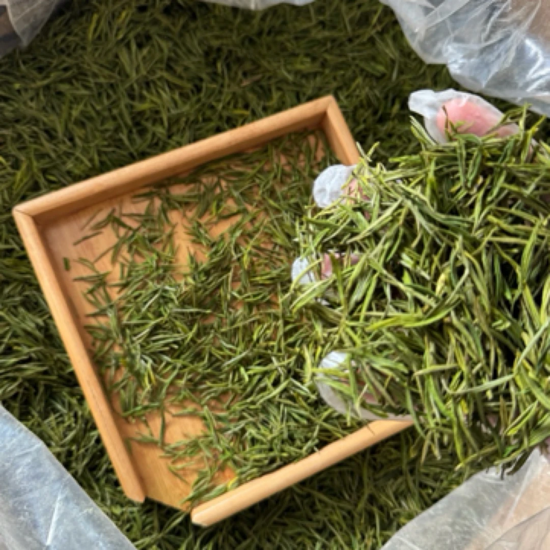 白茶 高山安吉 白茶 鲜爽度 鲜甜 白化度高推荐