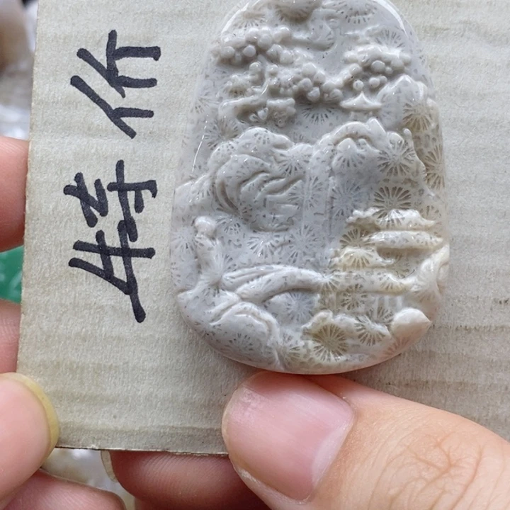 硅化珊瑚（珊瑚玉）颈饰未镶嵌