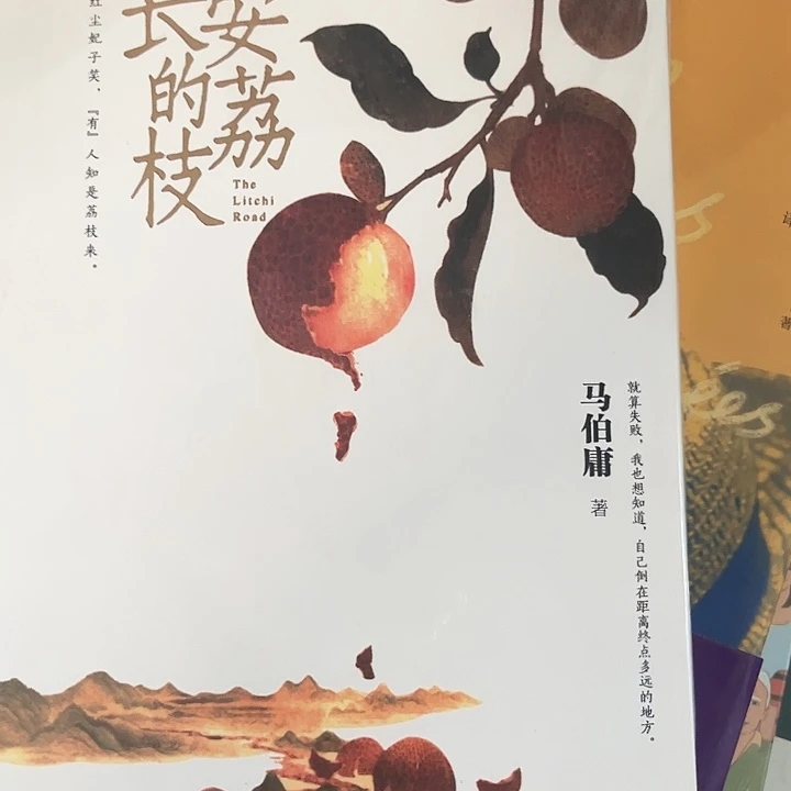 长安的荔枝全新推荐