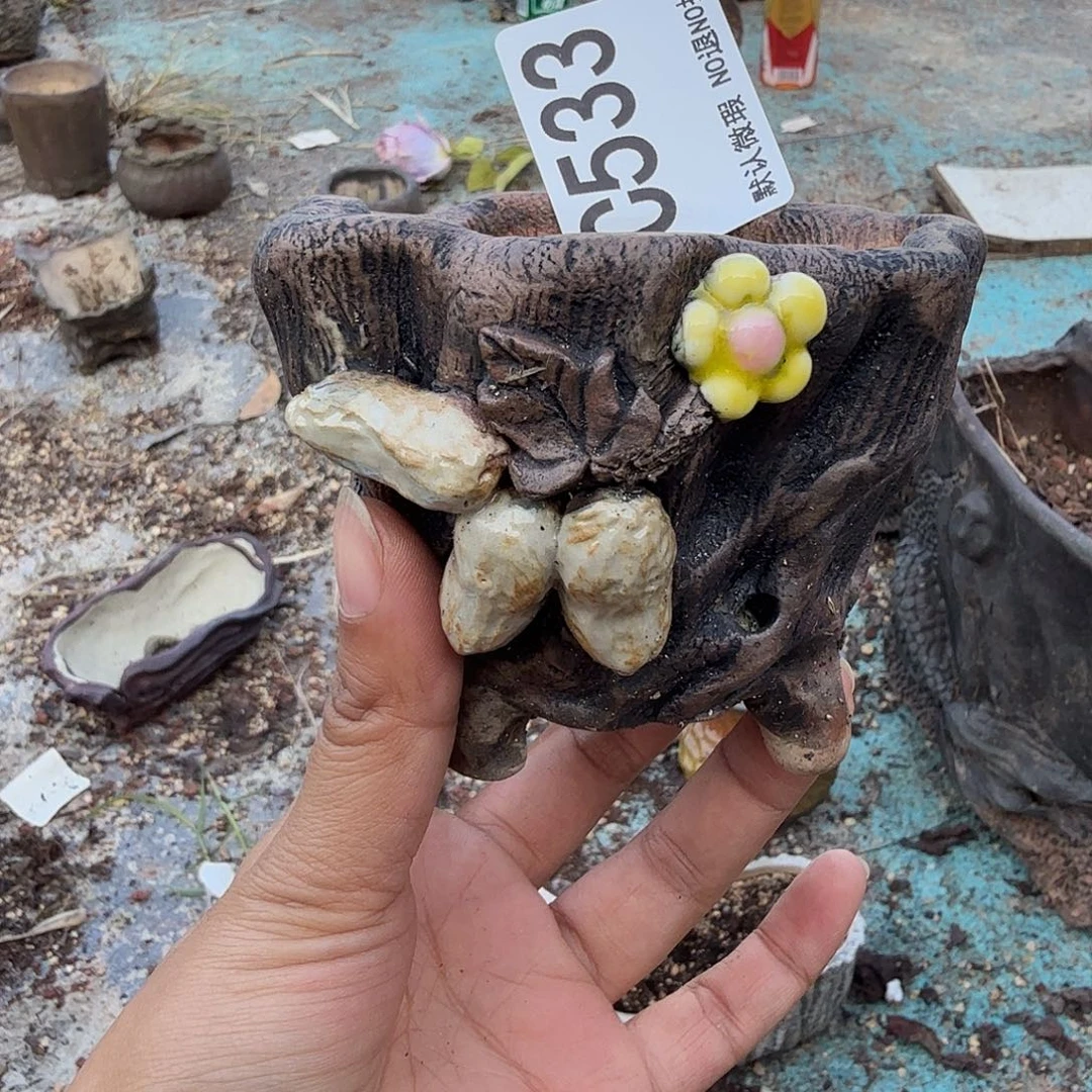 感****重庆小燕子欢迎大家533