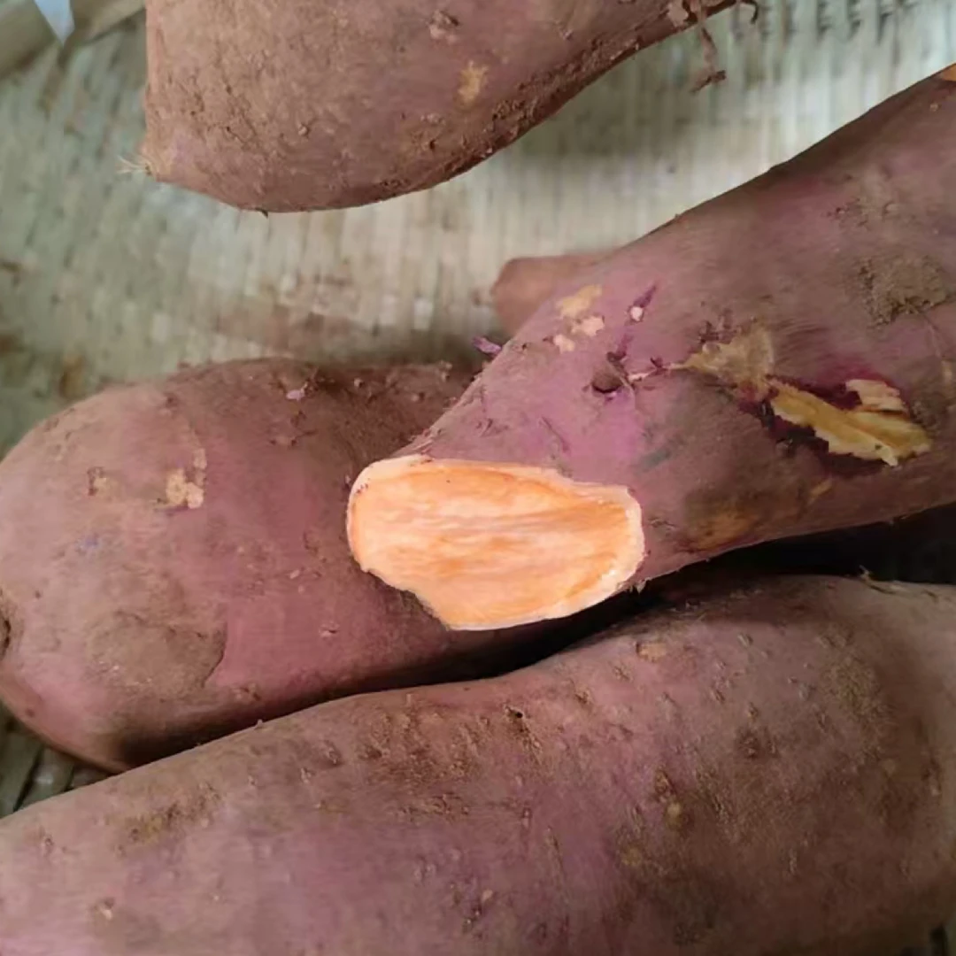 农家自种红薯五斤装