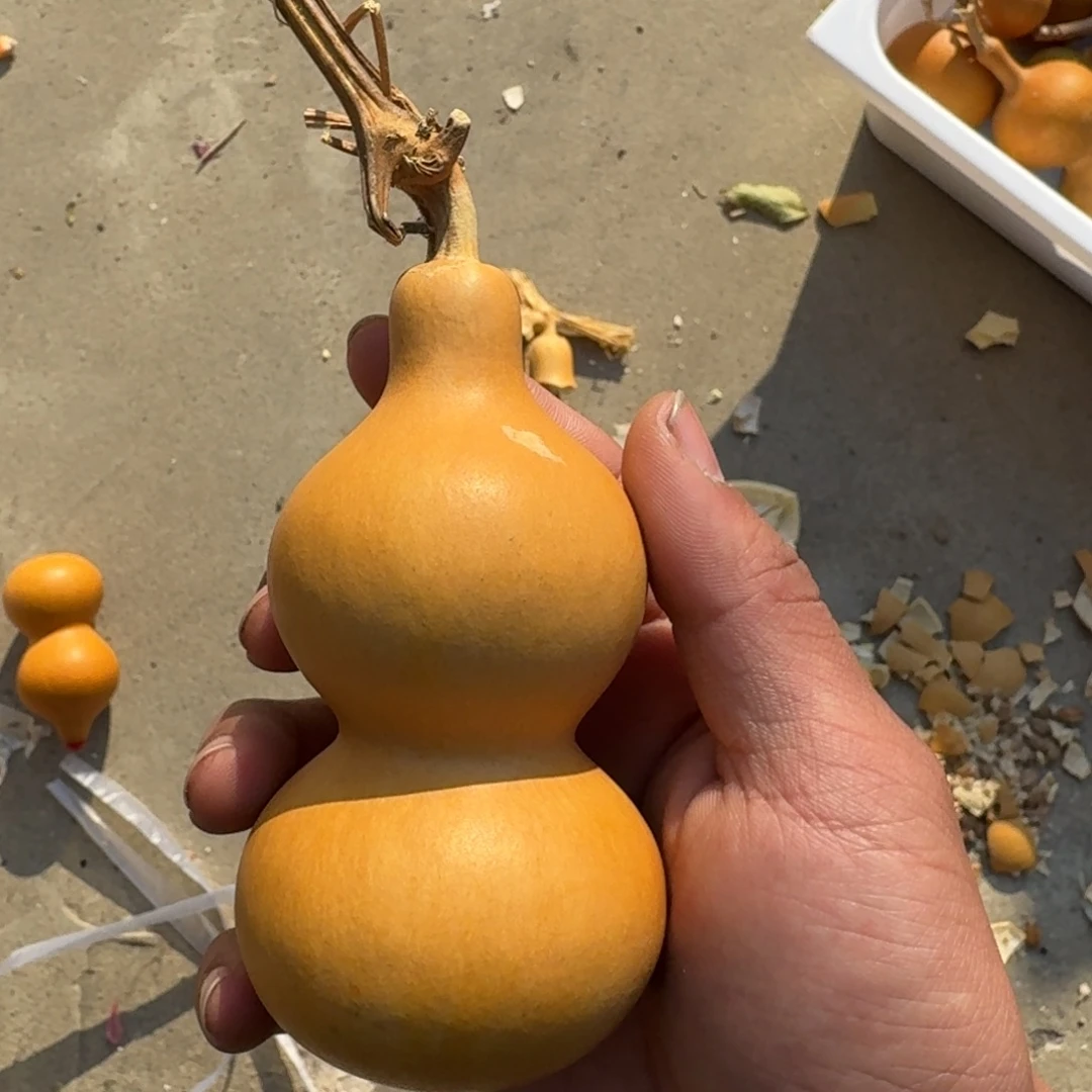 南***ı那时候他不懂怎么把钱还他
