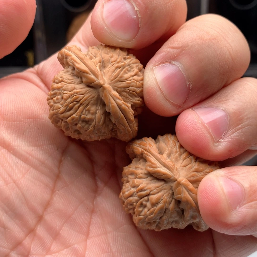 桃核吊坠飞***庄文玩核桃6589988