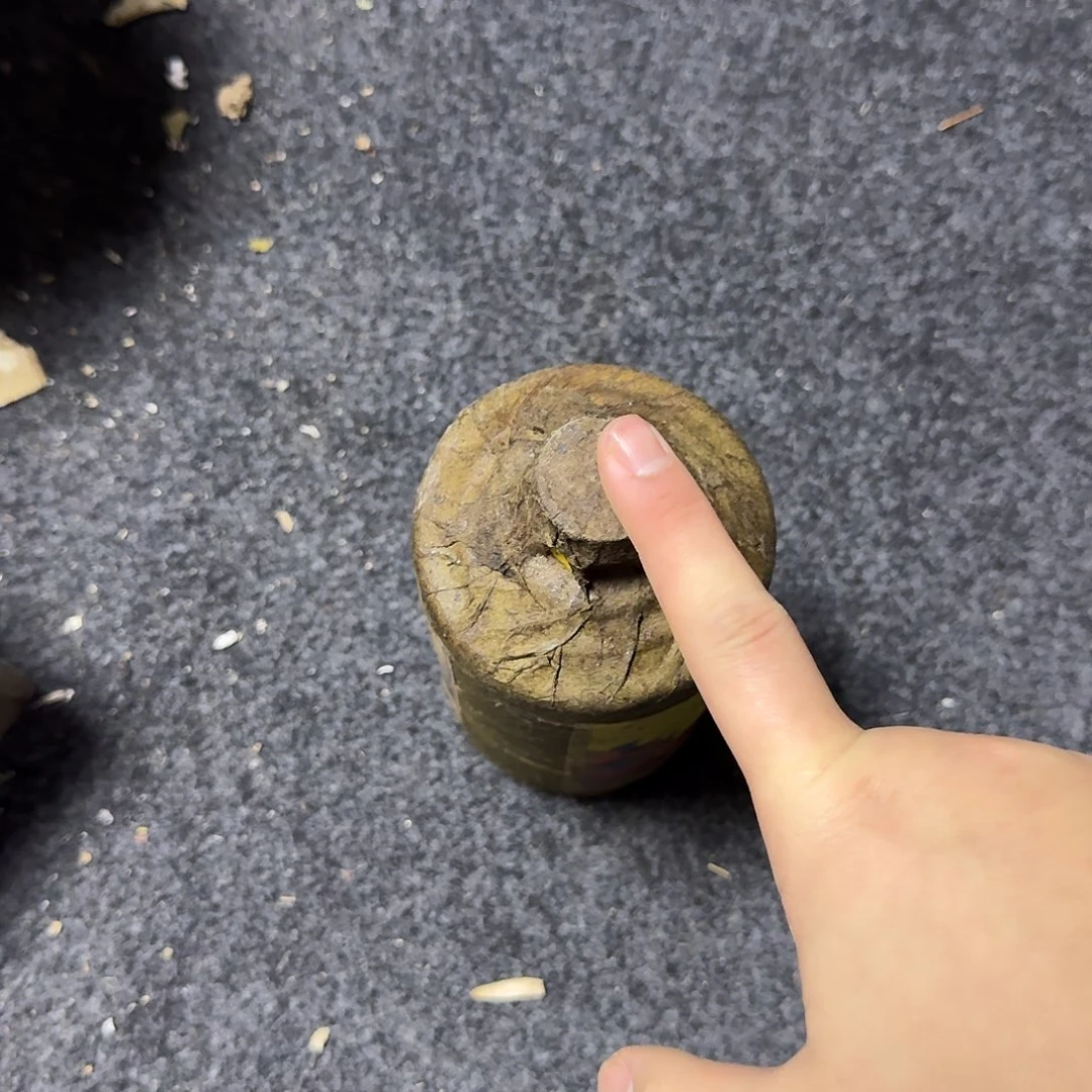 瓷片F****.4655666854567766789