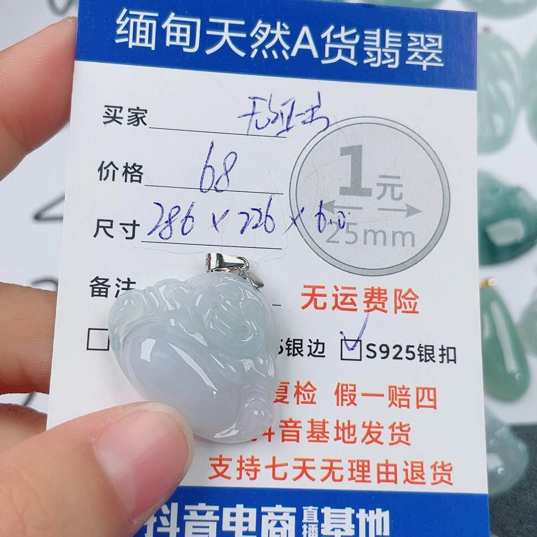 翡翠银S925镶嵌颈饰翡翠