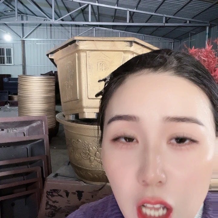 八角80口径花盆一个