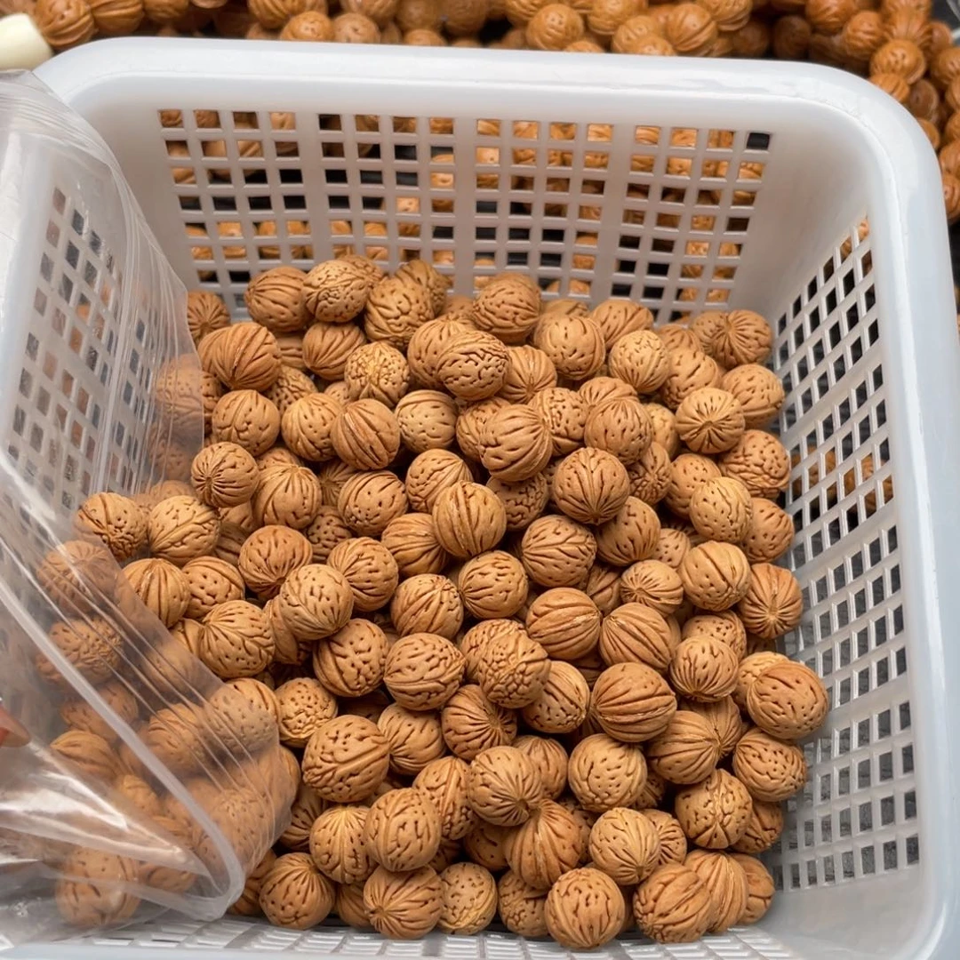 【闪购商品】落**安散子发货50颗100米