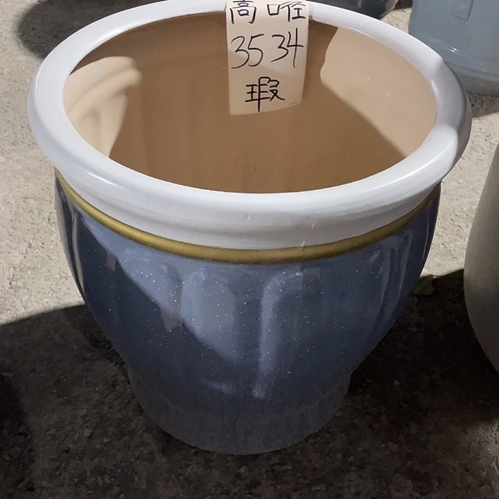 花盆花开了一个人的房间观看直播主播的