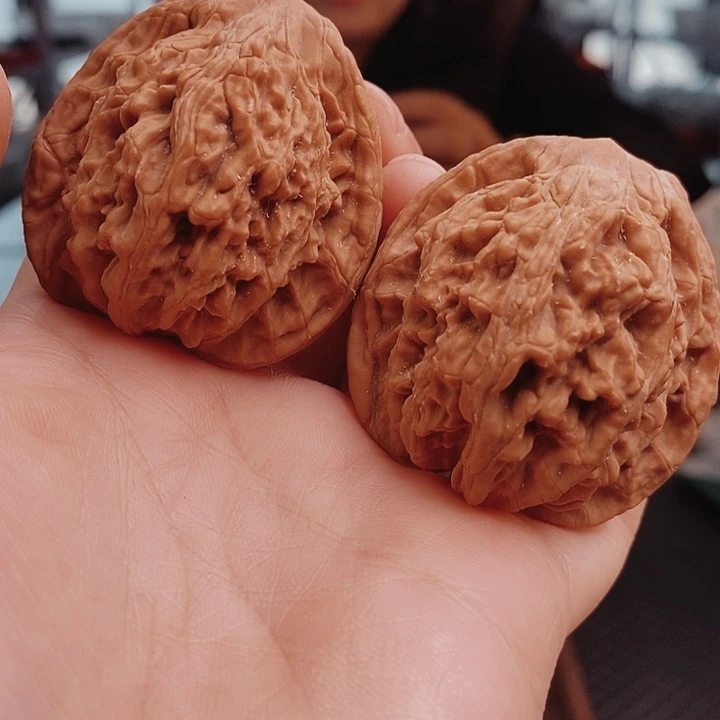 核桃43尺虎头核桃