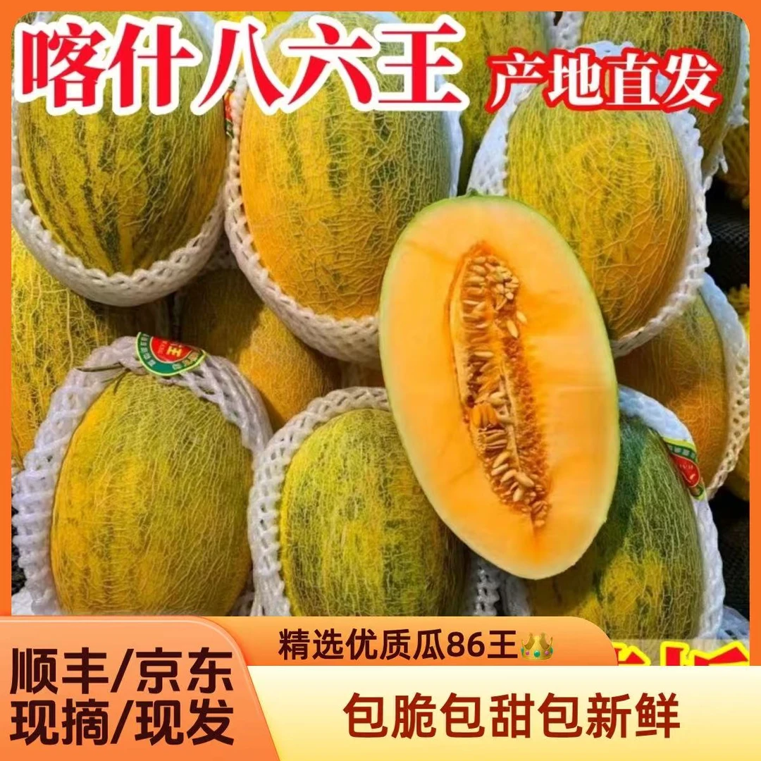 正宗新疆伽师瓜八六王非哈密瓜新鲜当季水果爆甜爆汁大黄皮