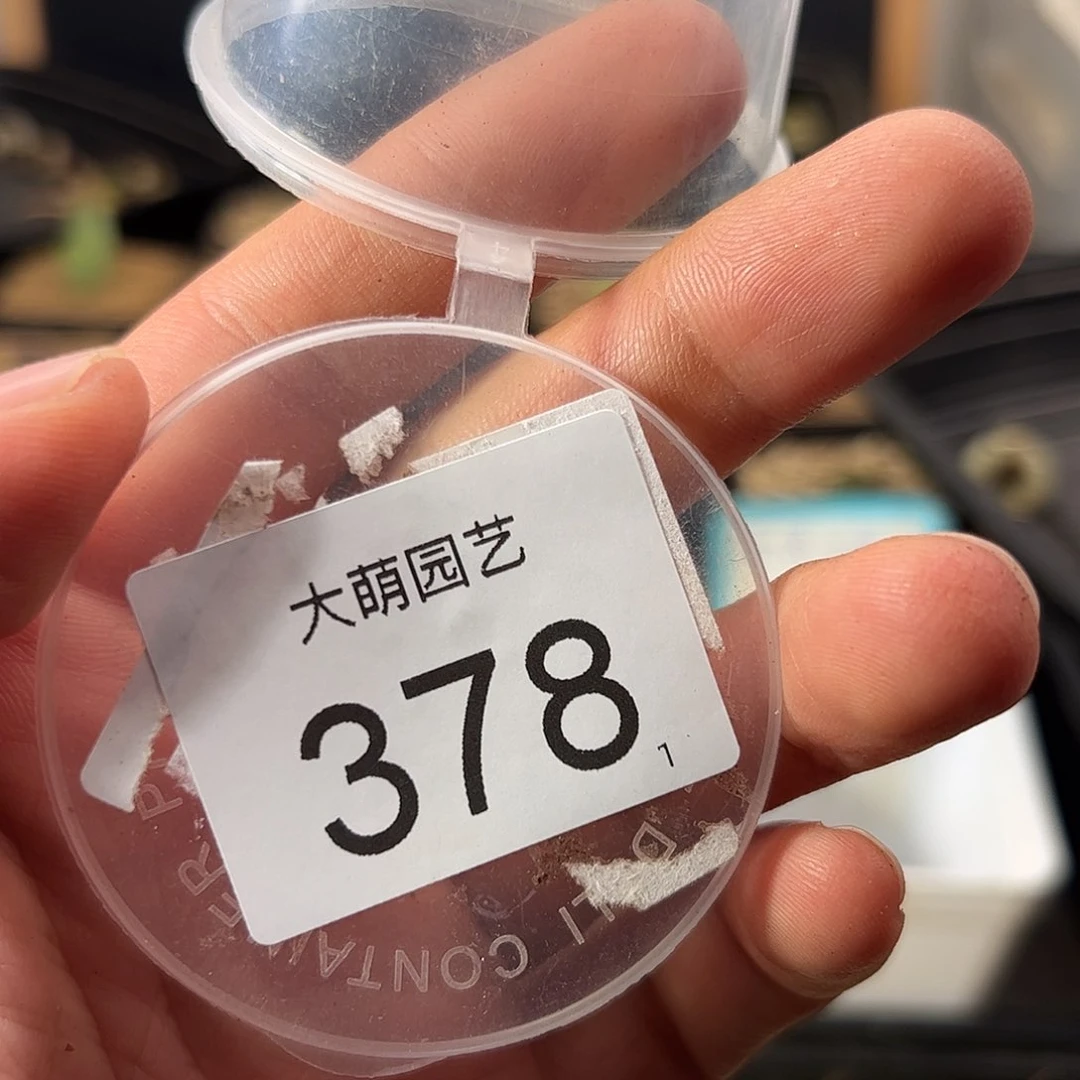 ?****猩0000378一物一拍……