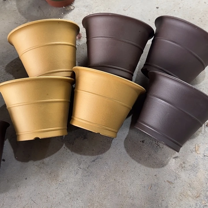 16×11六只        福利价