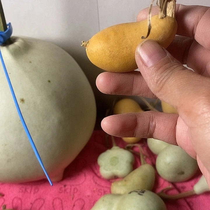 L***星葫芦手把件摆件葫芦
