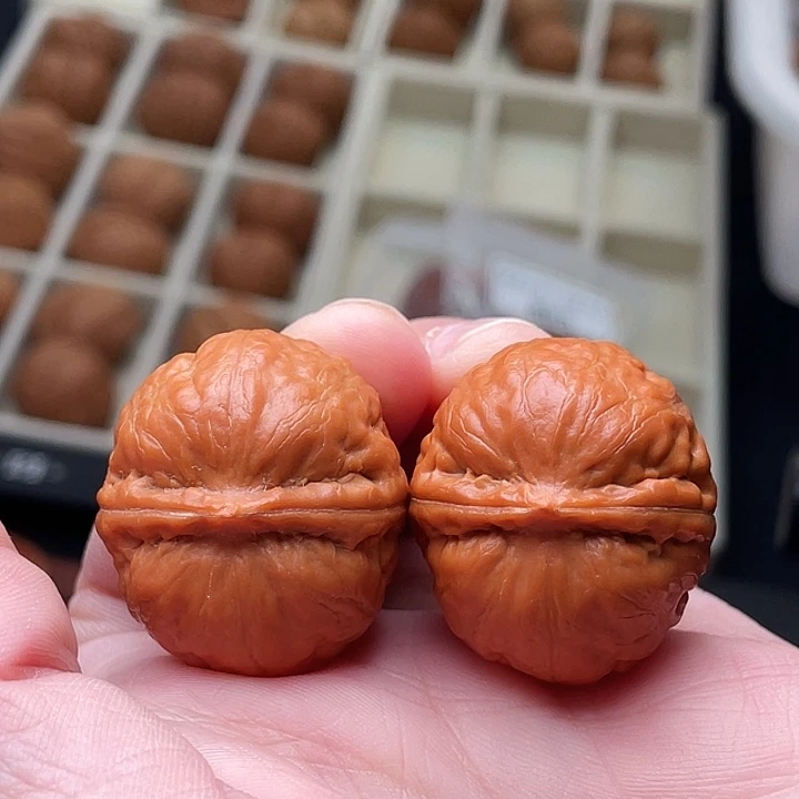 核桃南瓜墩野生核桃