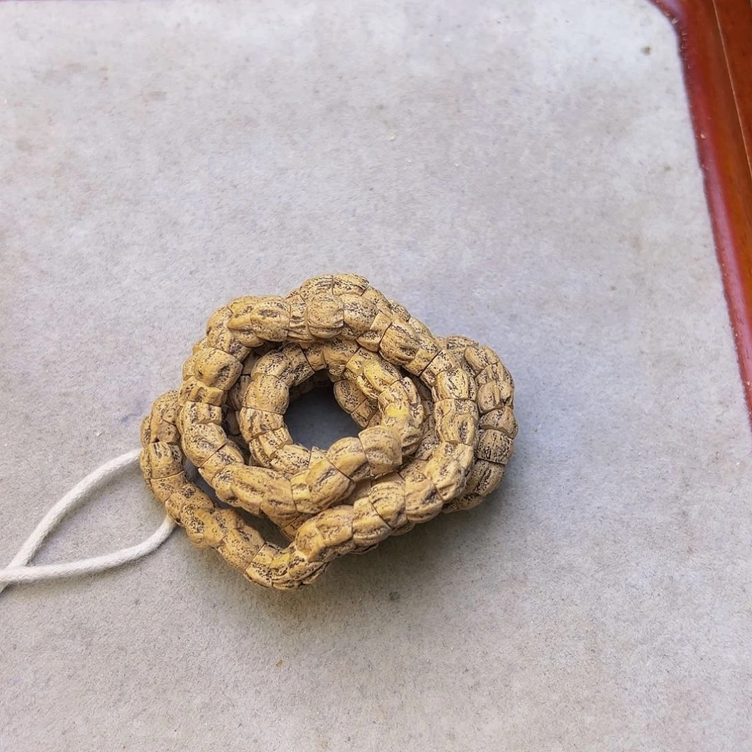 【闪购商品】柏香籽/百香籽手串番*汁热振龙脊鬼脸大肠