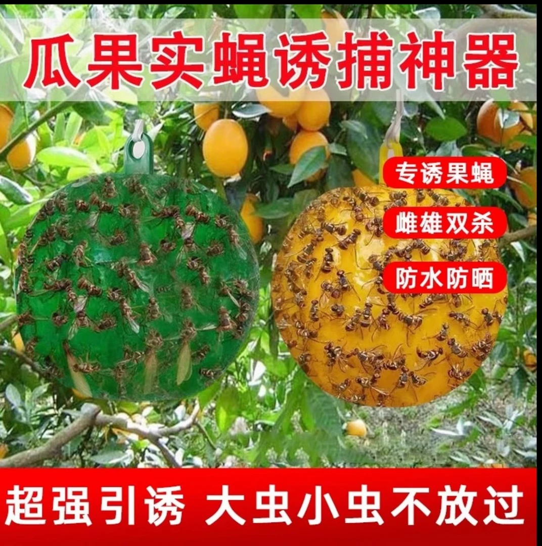【升级款】粘虫球诱蝇球丝瓜果园粘蝇球果实蝇针锋诱虫粘球马蜂
