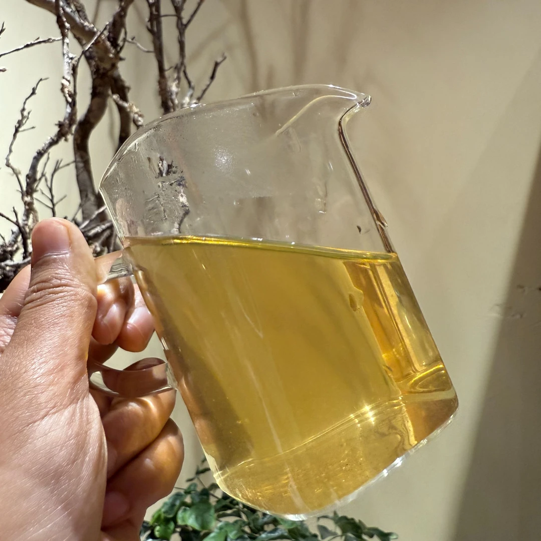 【八级灯牌福利】回馈客户 普洱茶