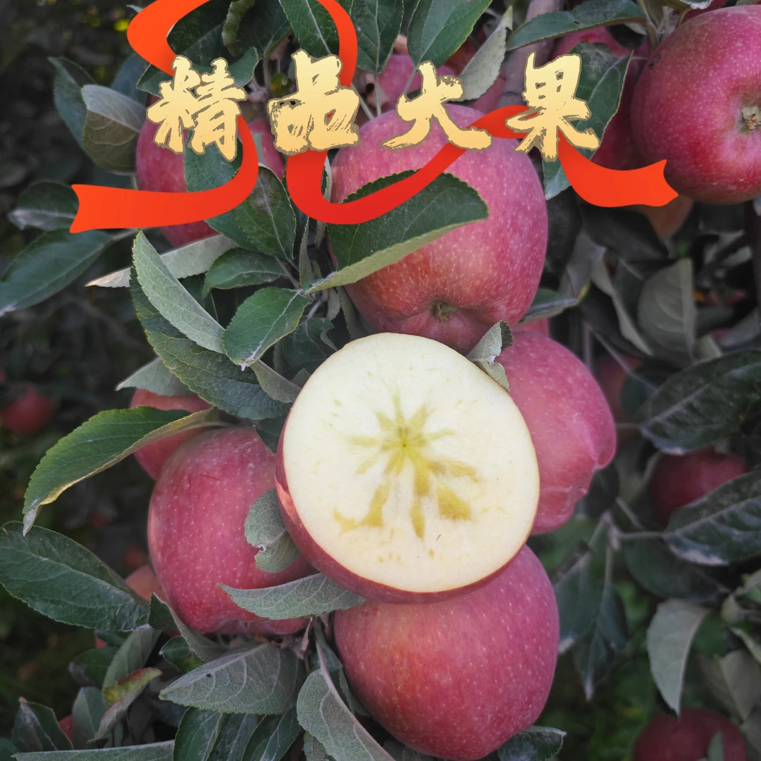 红星苹果 80后的回忆