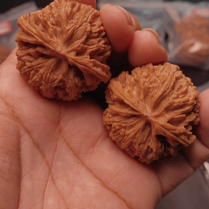 核桃苹果园40尺核桃