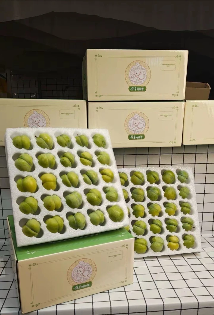 当季贵州六马蜂糖李甜爽脆脱骨新鲜现摘礼盒包装水果