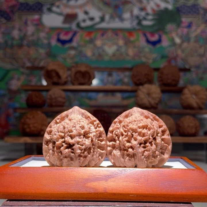 48t官帽精品大尺寸饱满