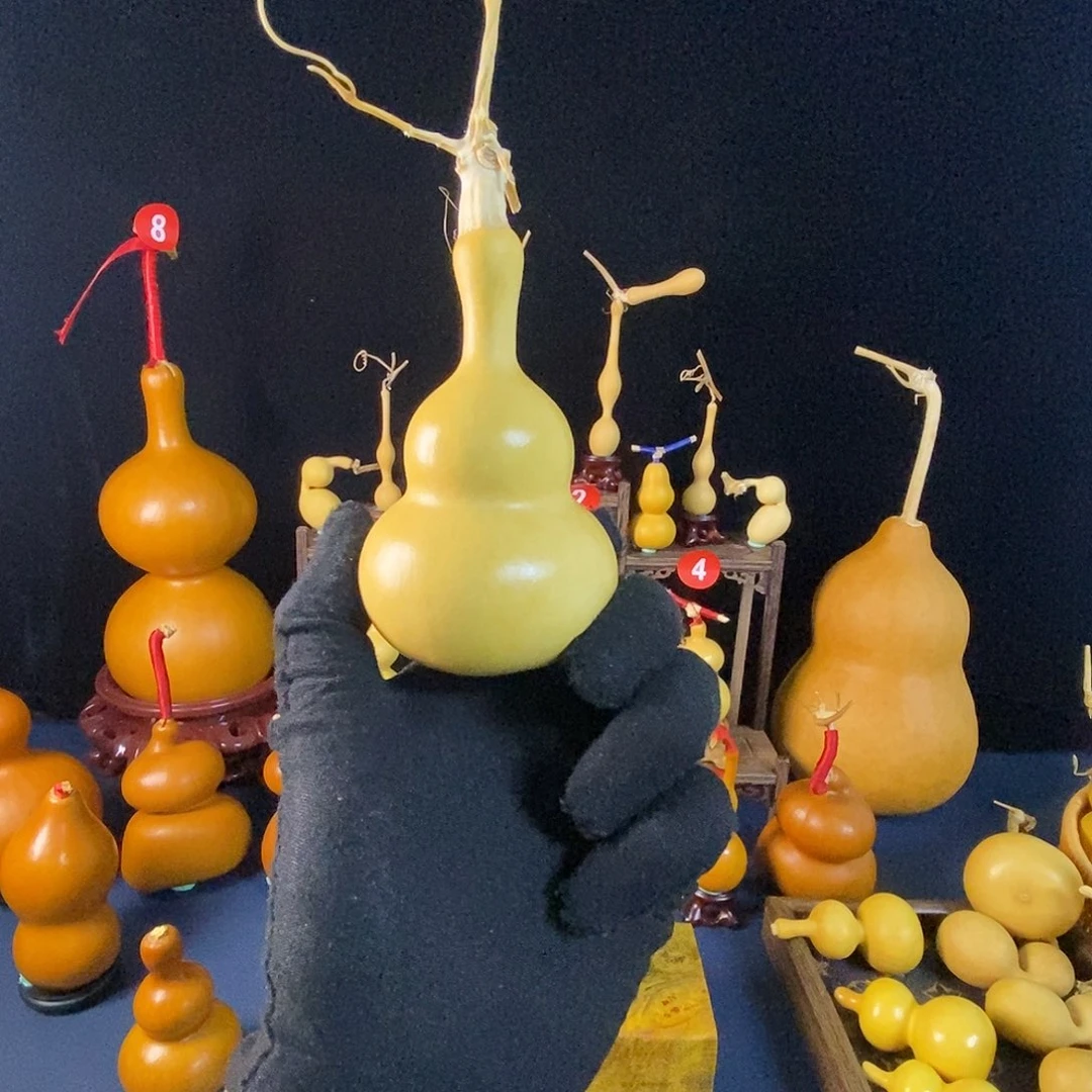 长***复大叶紫檀（黑酸枝木类）