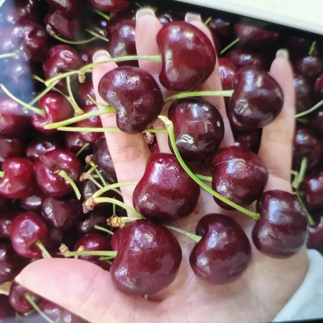 【海运车厘子】智利桑提娜2JJ-2.5kg桑提娜智利