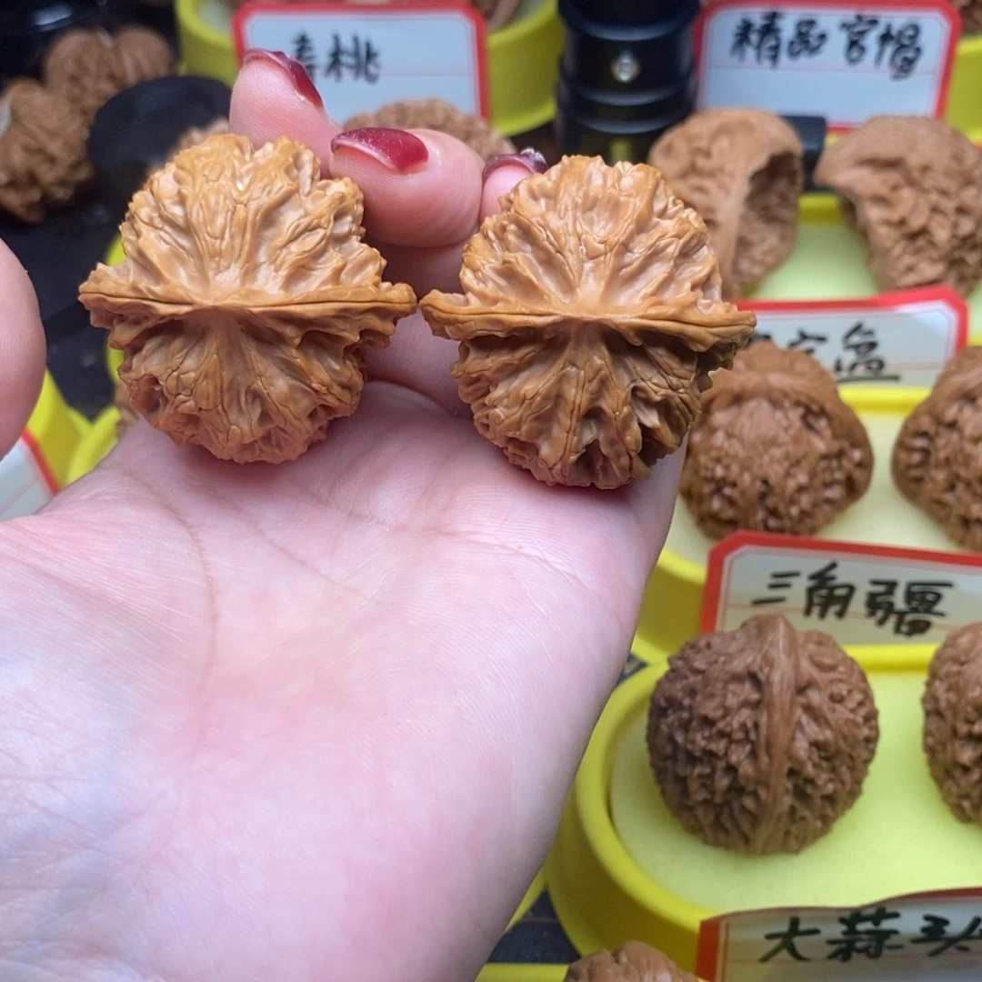 ****圆菩提籽类苹果元园