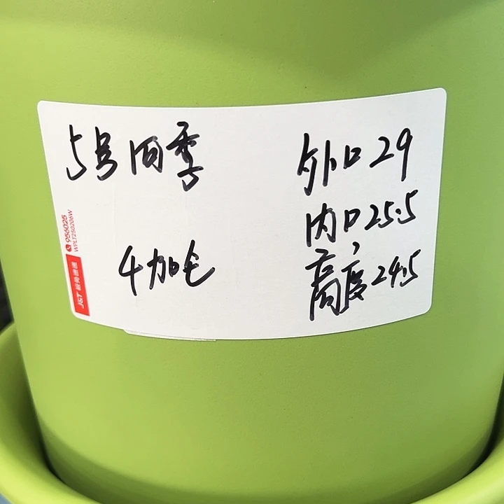 特价5号口29高24.5白色5只无托