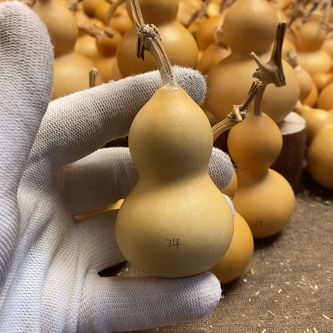 文玩葫芦 完美主义者 慎拍74