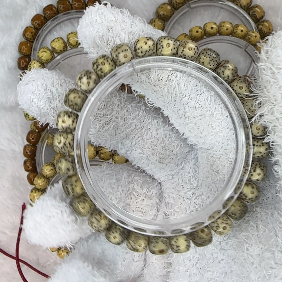 菩提籽类a 01 福利串