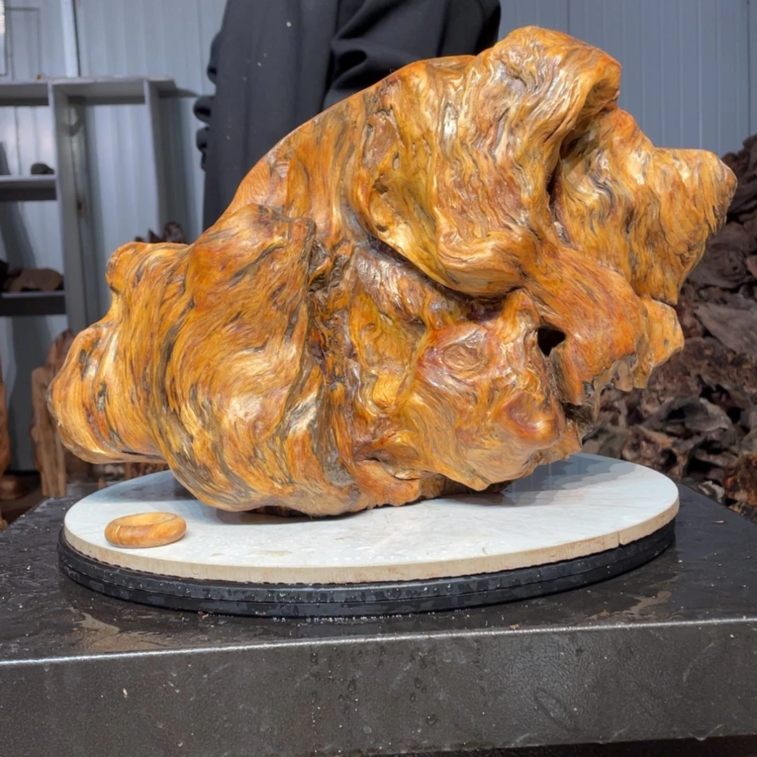 财***司木材猛子琥珀木摆件97