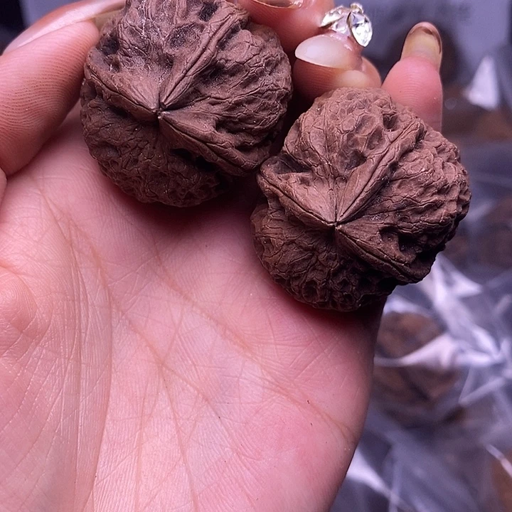 核桃云南野生铁核桃28号35mm