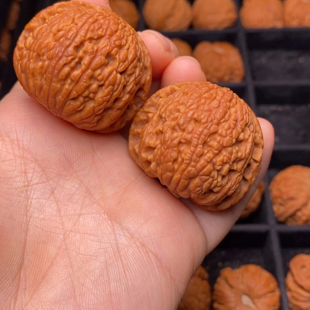 文玩核桃把件秦岭野生核桃