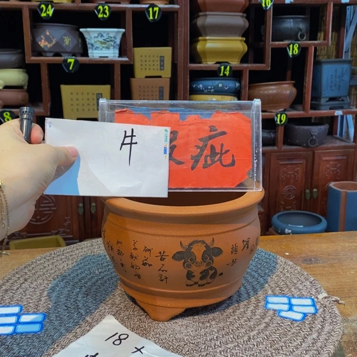 紫砂花盆紫砂花盆