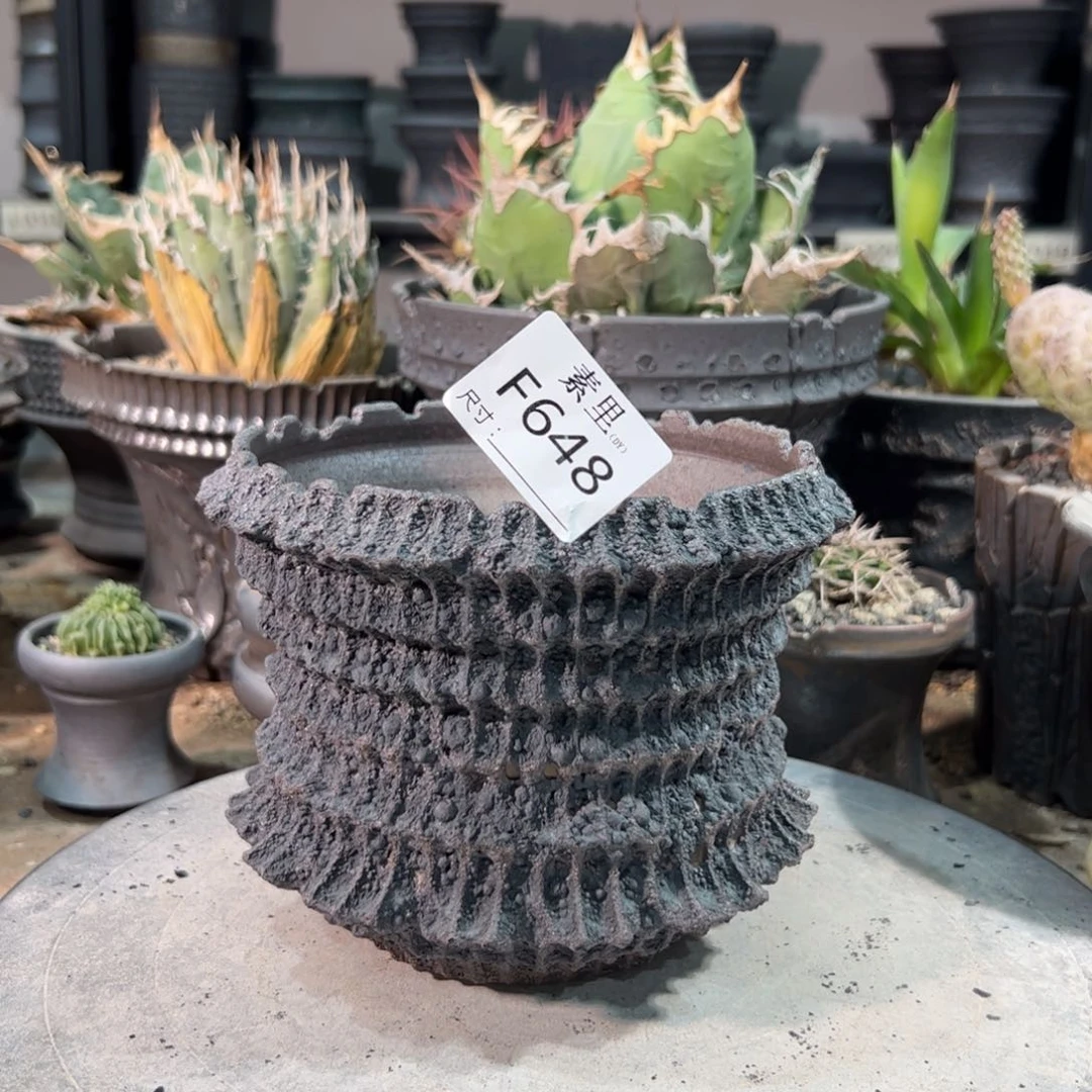 景德镇手工素里内口13.5高12.5