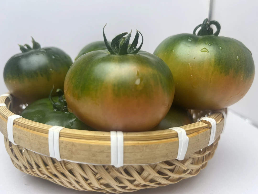 盘锦碱地柿子 自然熟碱地番茄  四斤中大果 顺丰包邮果重80-150克