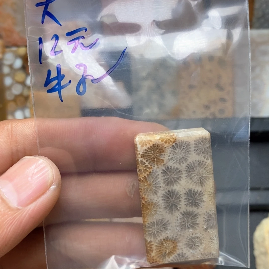 大***子硅化珊瑚（珊瑚玉）未镶嵌颈饰