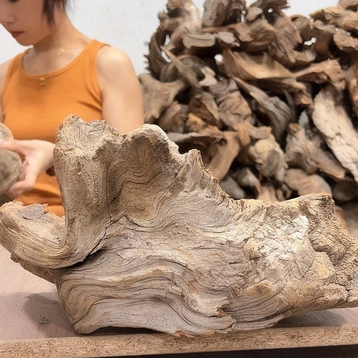 柏木呆*呗我们的生活也是