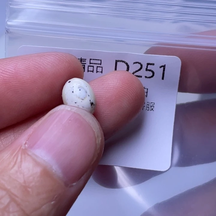 未镶嵌琥珀裸石琥珀