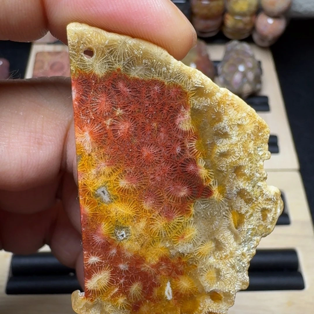 硅化珊瑚（珊瑚玉）未镶嵌纯天然色有机玉石保真色