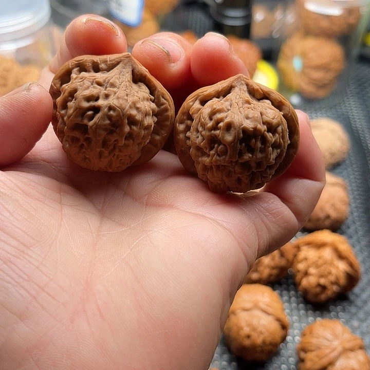 把件桃核连花边37肚37