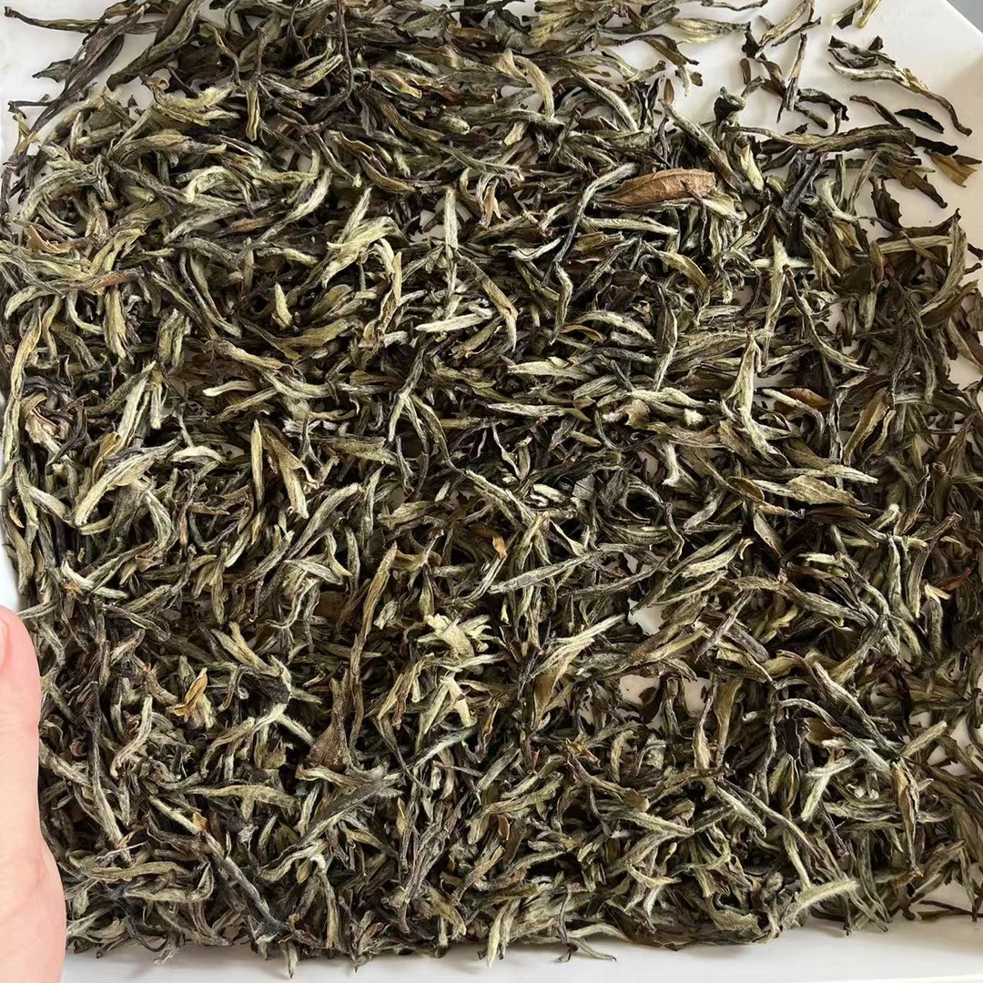 【鑫说】福鼎白茶---2013年薄荷香老牡丹