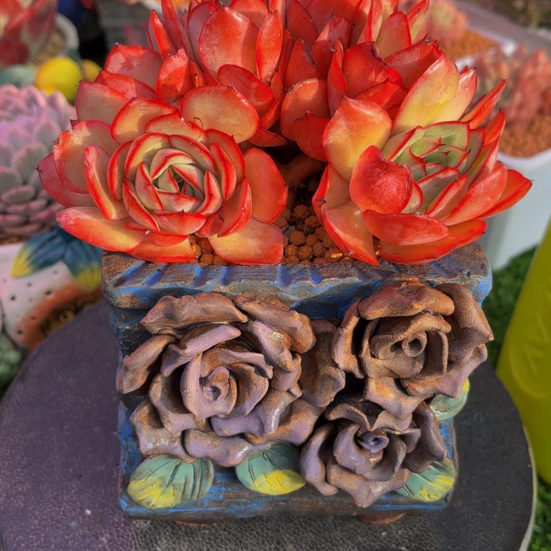 Jvjjjjjjjhhgghhjjjjjjjj