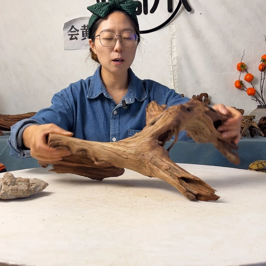 沉木造景寄居蟹景