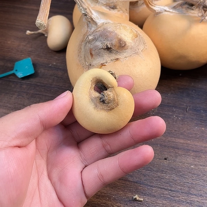 手把腰子啊啊啊啊啊啊啊